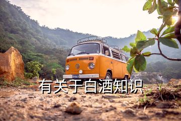 有關于白酒知識