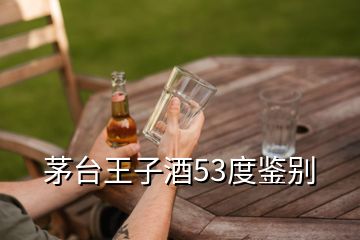 茅臺王子酒53度鑒別