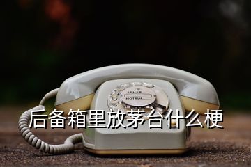 后備箱里放茅臺什么梗