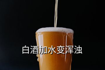 白酒加水變渾濁