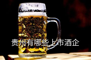 貴州有哪些上市酒企
