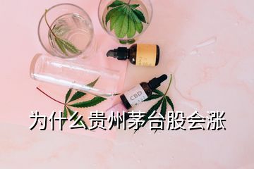 為什么貴州茅臺股會漲