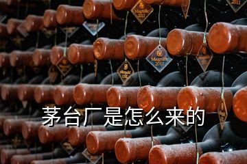 茅臺(tái)廠是怎么來(lái)的