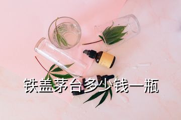 鐵蓋茅臺(tái)多少錢一瓶