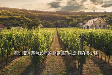 有誰知道 茅臺10年的 財富臨門禮盒 現(xiàn)在多少錢