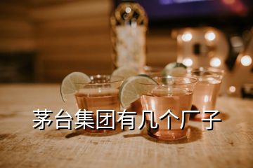 茅臺集團(tuán)有幾個廠子