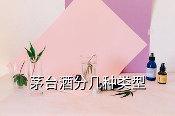 茅臺酒分幾種類型