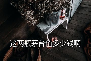 這兩瓶茅臺值多少錢啊