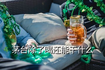 茅臺(tái)除了喝還能干什么