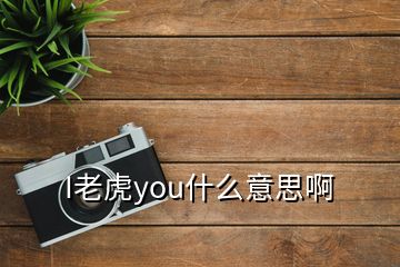 I老虎you什么意思啊