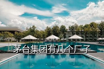 茅臺集團(tuán)有幾個廠子