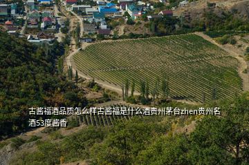 古醬福酒品質(zhì)怎么樣古醬福是什么酒貴州茅臺zhen貴州名酒53度醬香