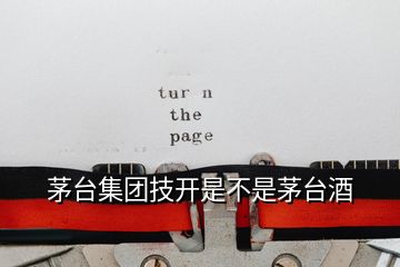 茅臺集團(tuán)技開是不是茅臺酒