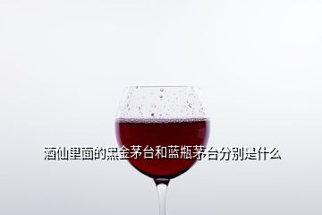 酒仙里面的黑金茅臺和藍(lán)瓶茅臺分別是什么