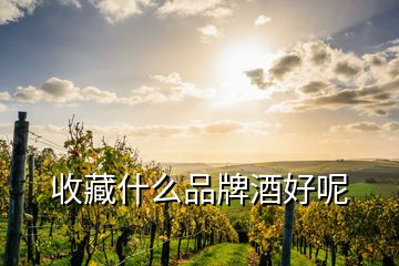 收藏什么品牌酒好呢