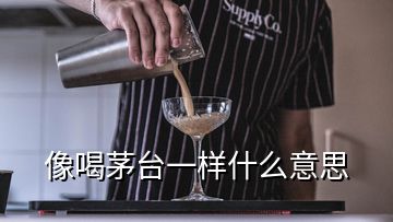 像喝茅臺一樣什么意思