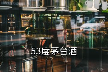 53度茅臺(tái)酒