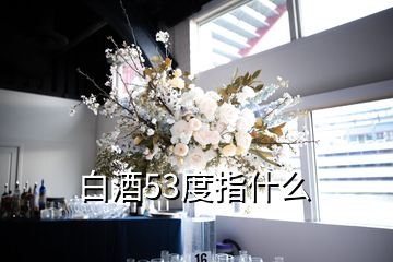 白酒53度指什么