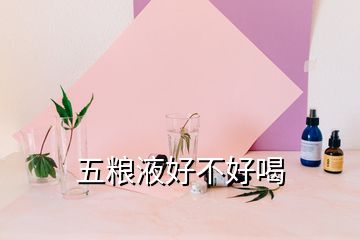 五糧液好不好喝