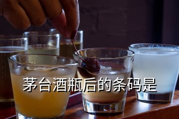 茅臺(tái)酒瓶后的條碼是