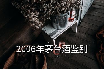 2006年茅臺(tái)酒鑒別