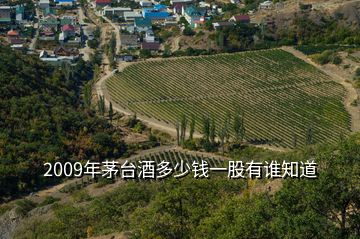 2009年茅臺(tái)酒多少錢一股有誰(shuí)知道