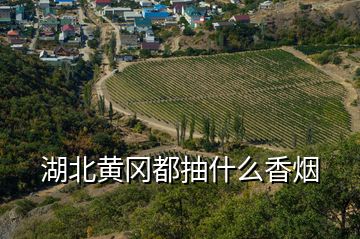 湖北黃岡都抽什么香煙