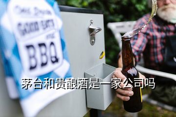 茅臺(tái)和貴釀酒是一家公司嗎