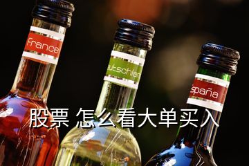 股票 怎么看大單買(mǎi)入