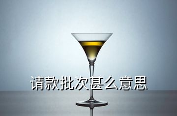 請款批次甚么意思