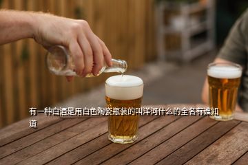 有一種白酒是用白色陶瓷瓶裝的叫洋河什么的全名有誰(shuí)知道