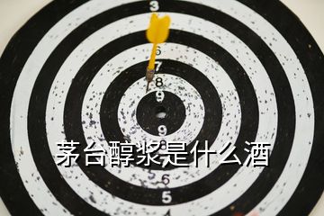茅臺醇漿是什么酒