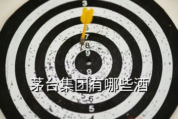 茅臺(tái)集團(tuán)有哪些酒