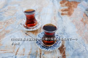 科創(chuàng)板從首發(fā)至22年3月止哪只股票能夠成為下一個茅臺呢