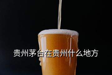 貴州茅臺(tái)在貴州什么地方