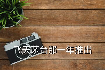 飛天茅臺(tái)那一年推出