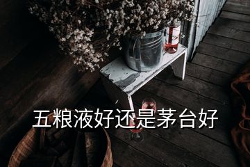 五糧液好還是茅臺(tái)好