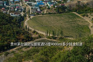 貴州茅臺(tái)鎮(zhèn)封壇御漿酒53度4000ml多少錢誰知道