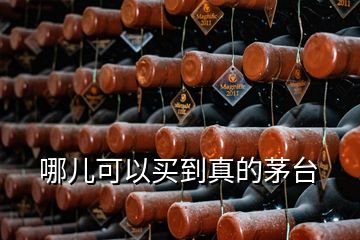 哪兒可以買(mǎi)到真的茅臺(tái)