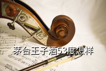 茅臺王子酒53度怎樣