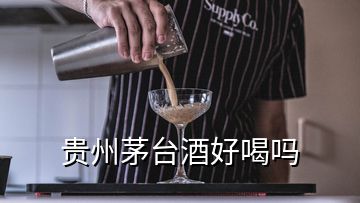 貴州茅臺(tái)酒好喝嗎
