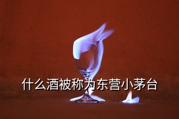 什么酒被稱為東營小茅臺