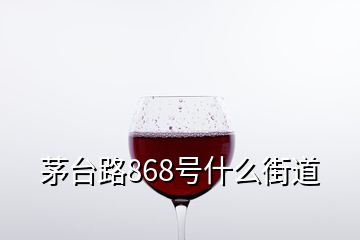 茅臺路868號什么街道