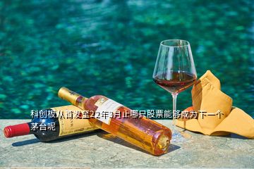 科創(chuàng)板從首發(fā)至22年3月止哪只股票能夠成為下一個茅臺呢