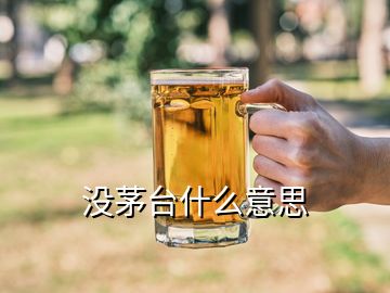 沒(méi)茅臺(tái)什么意思