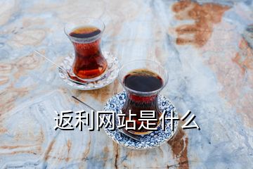 返利網(wǎng)站是什么