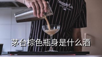 茅臺棕色瓶身是什么酒