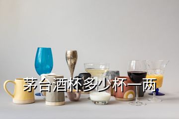 茅臺(tái)酒杯多少杯一兩