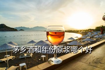 茅鄉(xiāng)酒和年份原漿哪個好