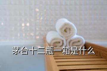 茅臺(tái)十二瓶一箱是什么